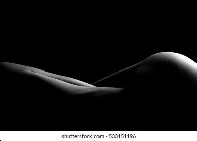 Sexy Body Nude Woman Naked Sensual Stock Photo 533151196 Shutterstock