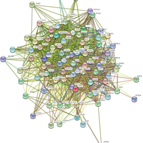 Common Target Gene Association Interactions Network Between TSF And DN