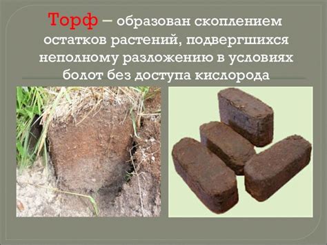 Торф рисунок (48 фото) скачать бесплатно