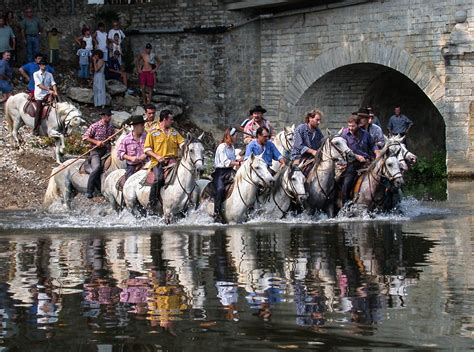 Quissac Des Chevaux Dans Le Vidourle Jean Louis Mazzia Flickr