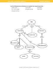 Jose Fernandez Do Now Day 5 Concept Map Pdf DNA RNA And Protein