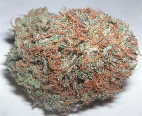 File:Bubba Kush.jpg - PsychonautWiki