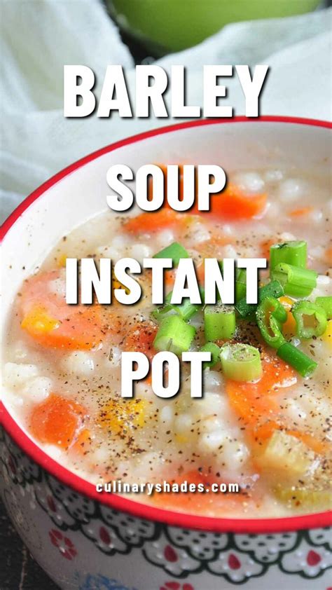 Instant Pot Vegetable Barley Soup - Culinary Shades