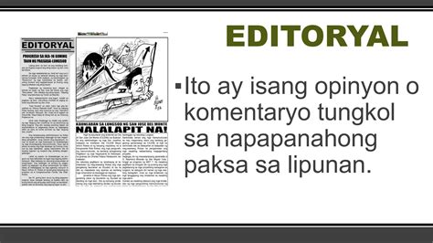 editoryalpdf