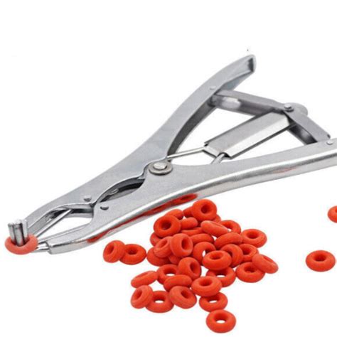 Alte Oma Fotzen Free Porn Video 8f XHamster