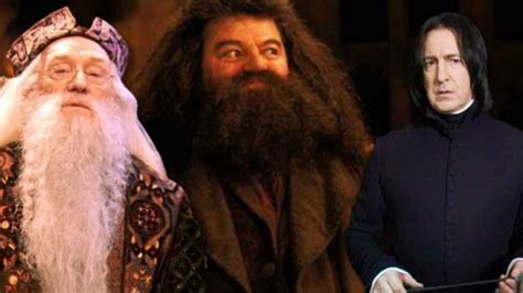 Dumbledore And Snape