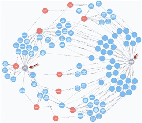 Why Neo4j Is The Most Popular Graph Database Wecan