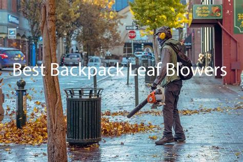 Best Backpack Leaf Blower in 2024 -10 Reviews & Buying Guide