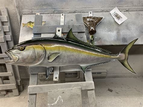 Amberjack Fish