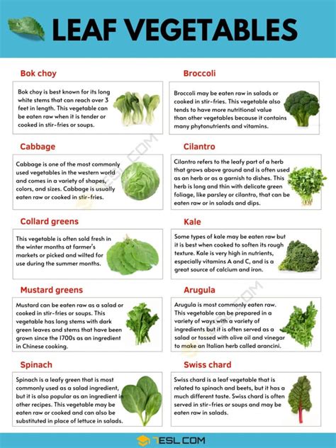 List Of Leaf Vegetables In English With Pictures • 7esl