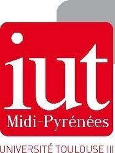 Iut Mesures Physiques Toulouse Iut Mesures Physiques Toulouse Viadeo