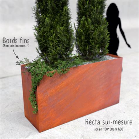 Bac Corten Plantes Et Pots De Fleurs En Acier Corten Agtrema