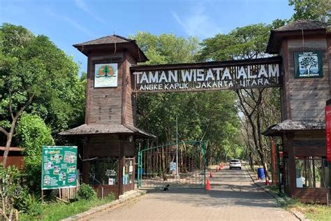 Cara Ke Taman Wisata Alam Mangrove Angke Kapuk Naik TransJakarta