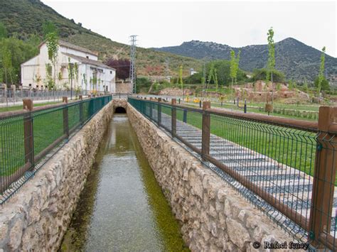 Flora Y Fauna De Arbuniel Ja N Nuevo Parque De Arbuniel