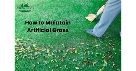 How To Maintain Artificial Grass Easy Tips Greengrass Store Uae