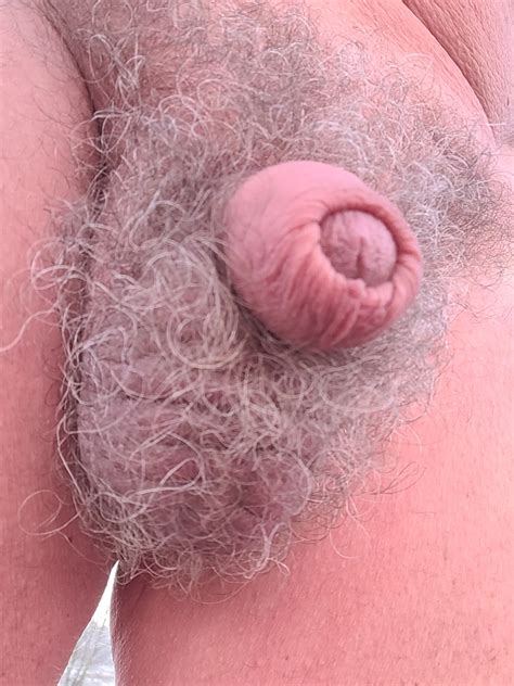 Soft Medium Hard Cock 50 Nude Pics XHamster