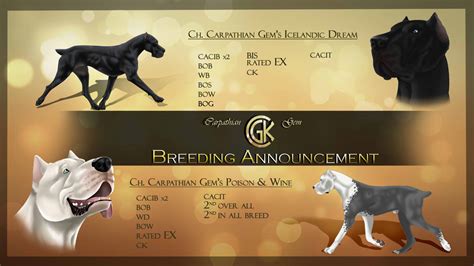 Breeding Announcement by UltravioletDreamer on DeviantArt