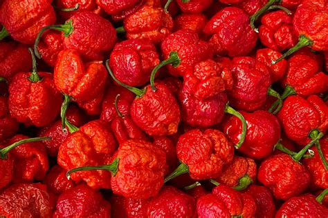 Watch the World Record for Eating 3 Carolina Reaper Peppers