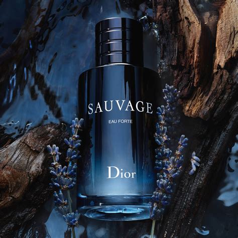 Perfume Sauvage Dior Eau Forte 100ml Beleza Na Web