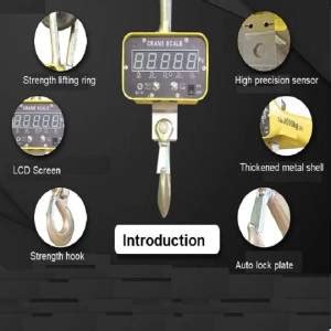 Electronic crane scale – CareTech