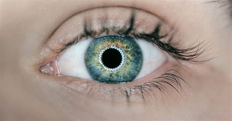 Cushings Disease May Lead To Ocular Hypertension Case Report Finds