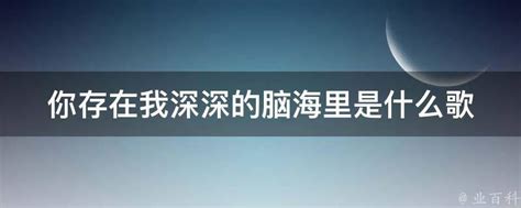 你存在我深深的脑海里是什么歌 业百科