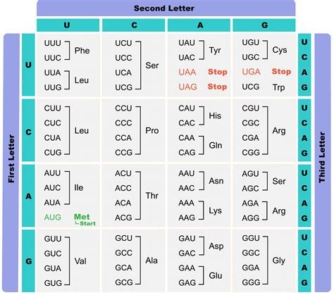 5.8 Using the genetic code – The Evolution and Biology of Sex