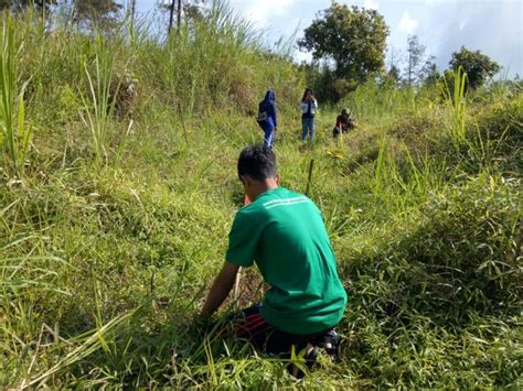 Kampanye Alam Ini Budayaku 1001 Pendaki Tanam Pohon Di Gunung Ungaran