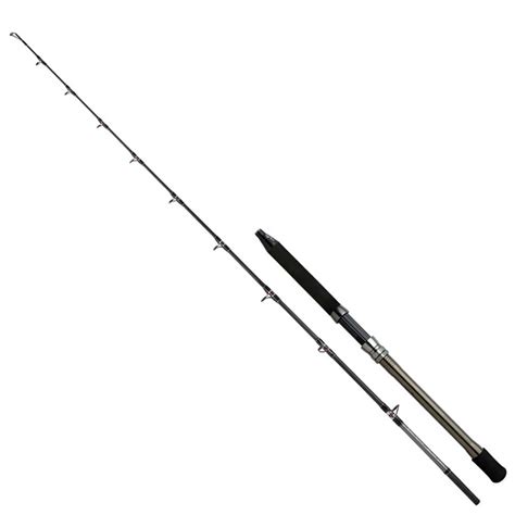 Shimano Fishing SpeedMaster AX Deep Drop Bottom Shipping Rod Waveinn