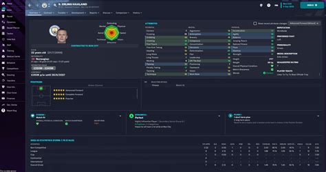 Football Manager 2023 Base Skins FM Scout