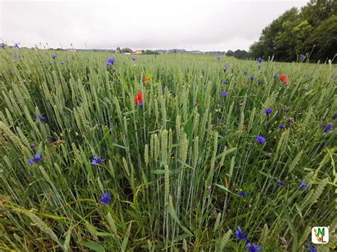 Fachbeirat zur Förderung des ökologischen Landbaus tagte in