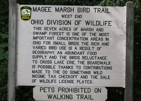 Birding Magee Marsh - 10,000 Birds