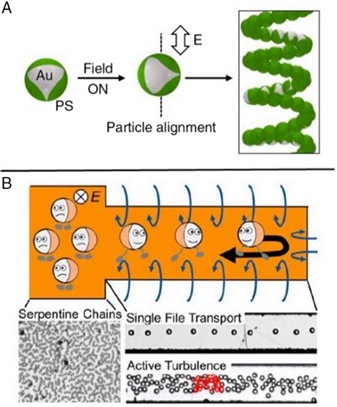 Representative Examples Of Electricfieldpropelled Micro Nanomotors