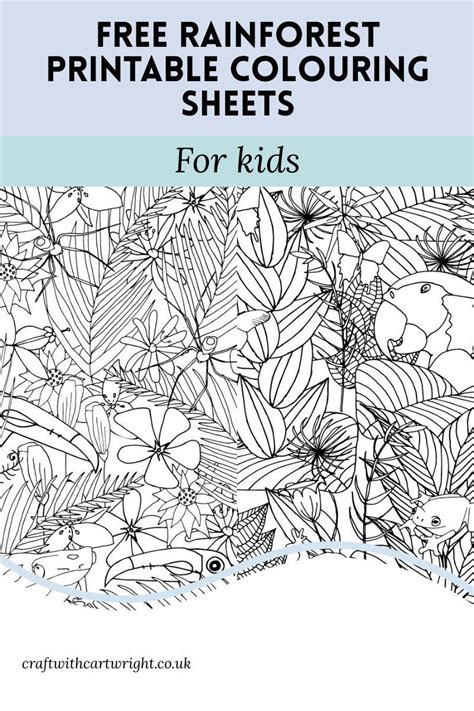 Free Rainforest Printable Colouring Sheets Craft With Cartwright