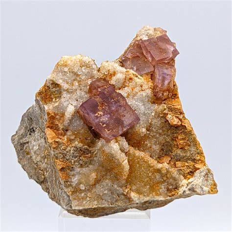 FLUORITE VIOLA Cristalli CUBICI Intensi Cristalli Su Matrice Altezza