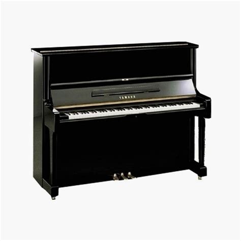 Olimpus Music U1 Polished Ebony PE