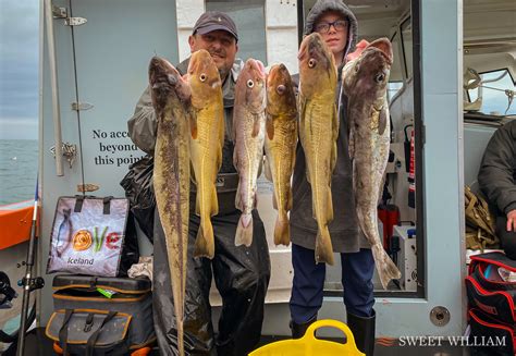 Pollock Cod And Ling On The Tyne Wrecks Aboard Sweet William SWEET