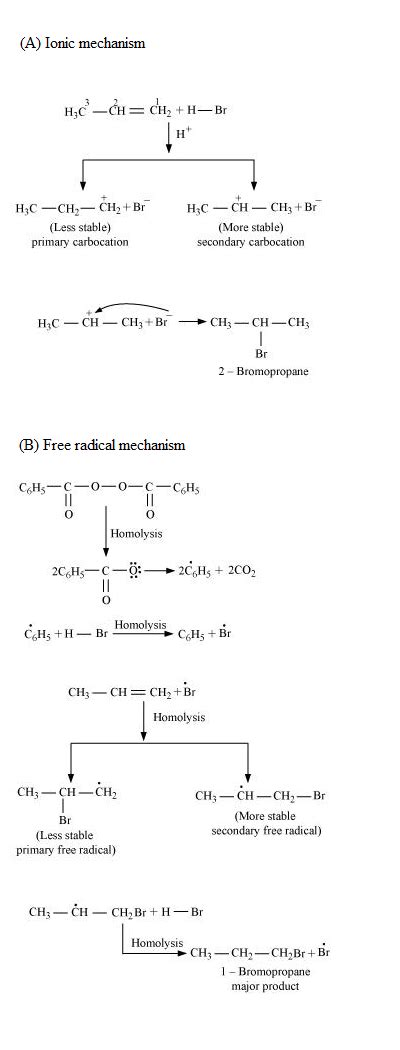 Addition Of Hbr To Propene Yields 2 Bromopropane While In The Presence