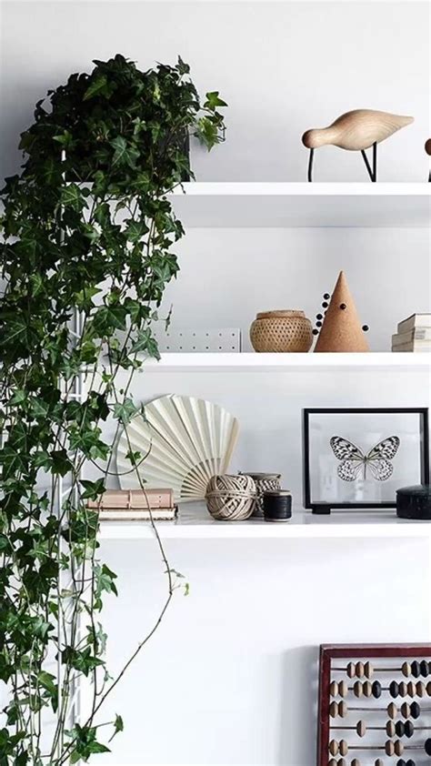 Hanging plants ideas #hangingplants #hanger #plants #aesthetic #homedecor #inspo | Déco maison ...