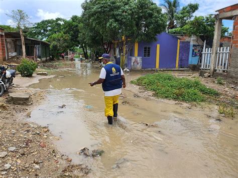 Colegios Inundados Y árboles Caídos Dejan Las Fuertes Lluvias Visor