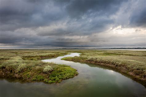 Salt Marsh Another From My Essex Salt Marsh Project Flickr