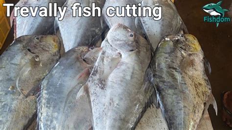 Amazing Trevally Fish Cutting And Chopping Skills In Sri Lanka Fish