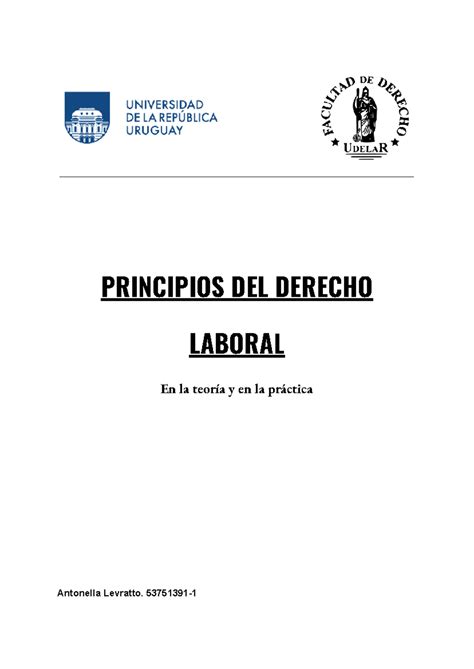 Principios Del Derecho Laboral Principios Del Derecho Laboral En La