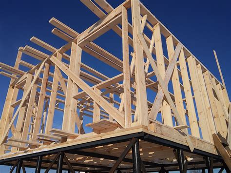 Дерево Каркас Фото – Telegraph