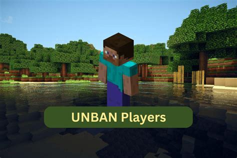 How To Unban Players In Minecraft TechCult