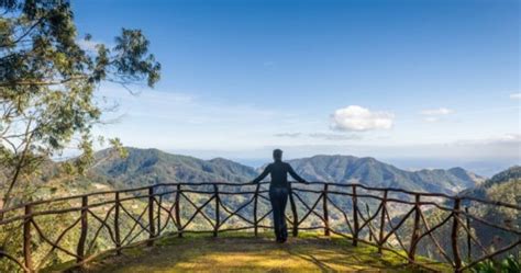 Madeira eleita melhor destino insular pela sétima vez consecutiva