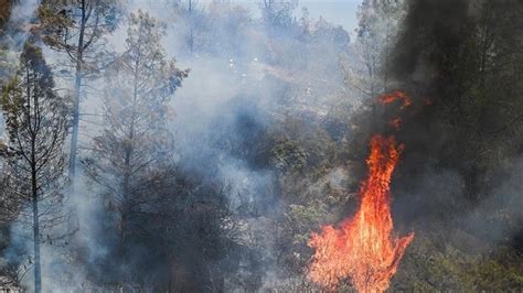 ABD nin California eyaletindeki orman yangınları nedeniyle tahliye