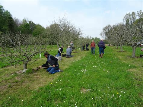 Avril Binage Paillage Greffe En Couronne Avalou Plabenneg