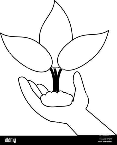 planta de jardín en dibujos animados en blanco y negro Imagen Vector de