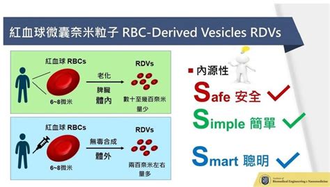 國衛院研發新穎紅血球微囊奈米藥物載體 提高治療效果